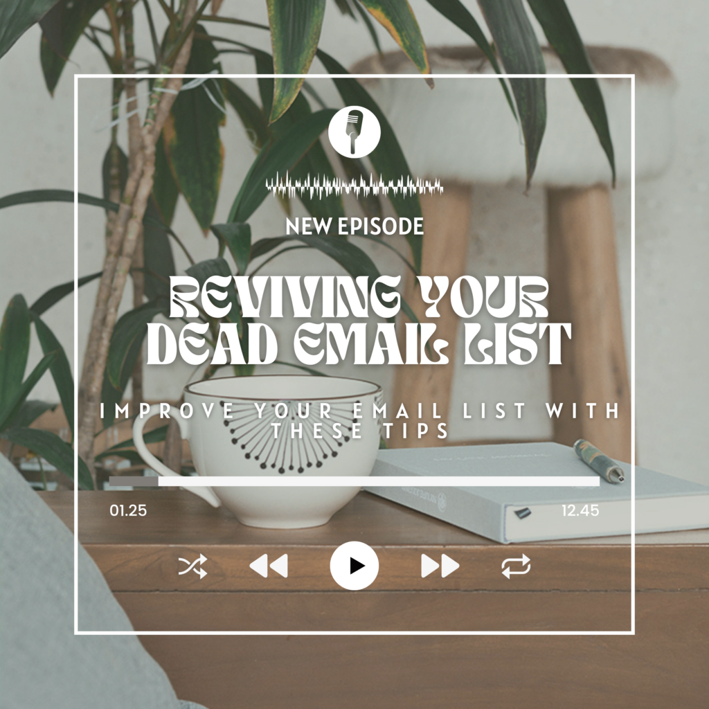 Revive your email list with these expert small business marketing tips from Rachel! Learn how to audit subscribers, refine inbound flows, and develop a sustainable email marketing strategy for better engagement and conversions.