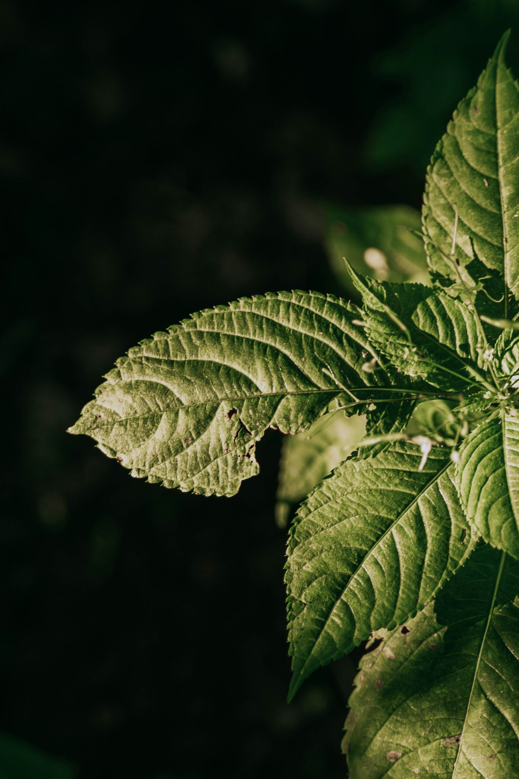 Trust-Based Marketing: Calm, Conscious, Conversion-Ready
